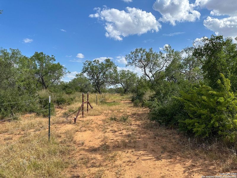 Natural landscape and outdoor views near  in Jourdanton (Image 39).