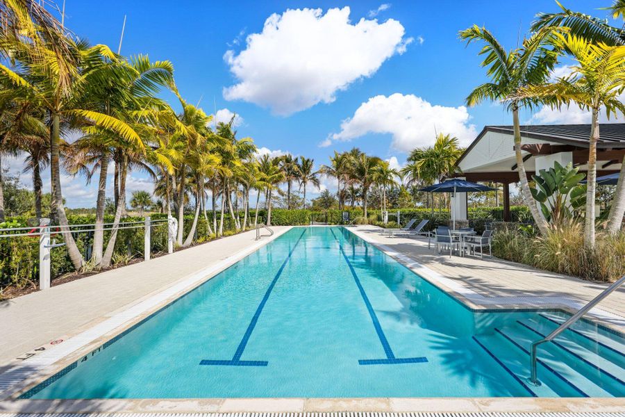 Lap Pool