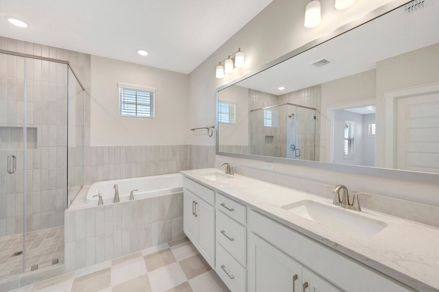 Owner's Bath
