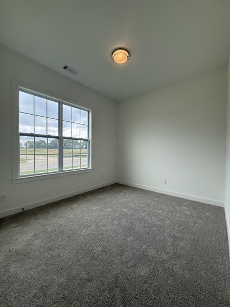 Carpeted room featuring a large window with grid pattern, white baseboards, and a flush-mount ceiling light fixture