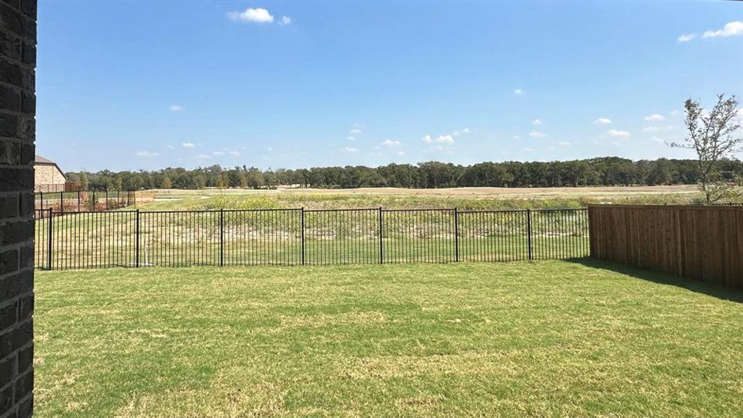 Fenced backyard with a rural view Fenced backyard with a rural view