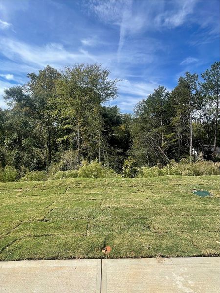 Natural landscape and outdoor views near Springwood Grove in Central (Image 30).