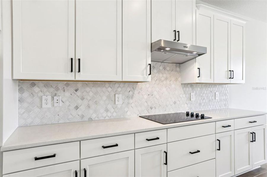 Furnished interior view inside a new home in Two Rivers - Signature Series, Zephyrhills (Image 15). Furnished interior view inside a new home in Two Rivers - Signature Series, Zephyrhills (Image 15).