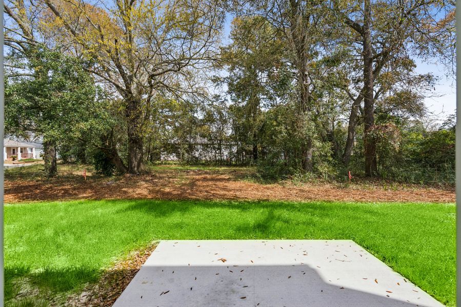 Natural landscape and outdoor views near Discover - Select in Charleston (Image 36).