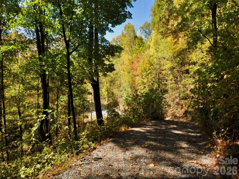 Natural landscape and outdoor views near in Arden (Image 21). Natural landscape and outdoor views near in Arden (Image 21).