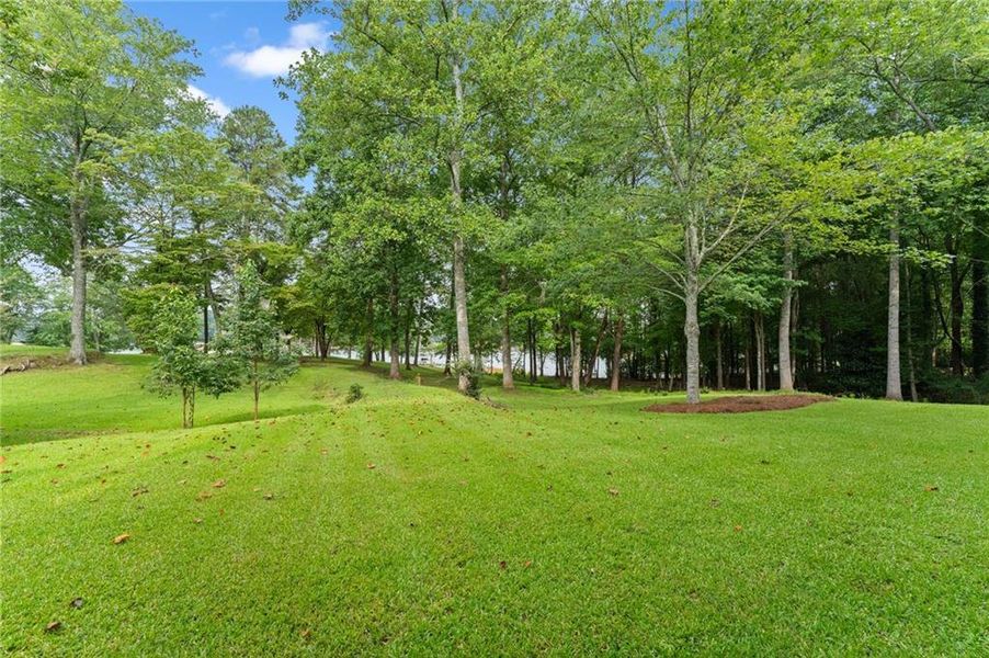 Natural landscape and outdoor views near  in Dawsonville (Image 86).