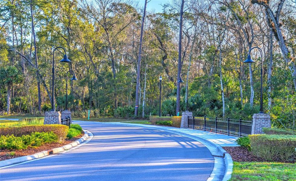 Natural landscape and outdoor views near The Estates at Brown's Landing in Port Orange (Image 32).