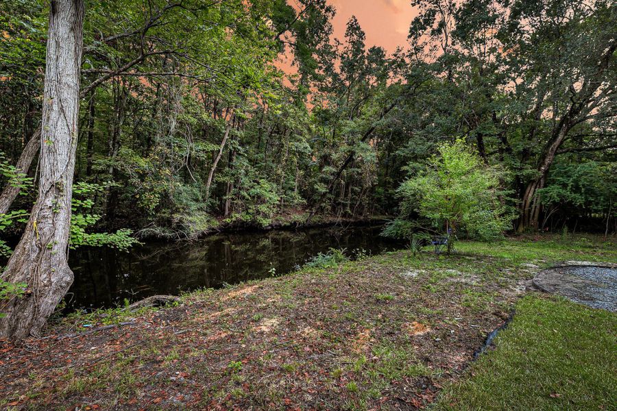 Natural landscape and outdoor views near  in Johns Island (Image 38).