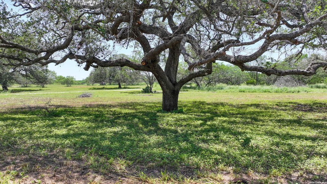 Natural landscape and outdoor views near in Kenedy (Image 30). Natural landscape and outdoor views near in Kenedy (Image 30).