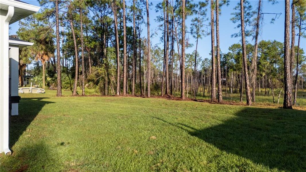 Exterior details and patio area of a home in , Deltona (Image 20).