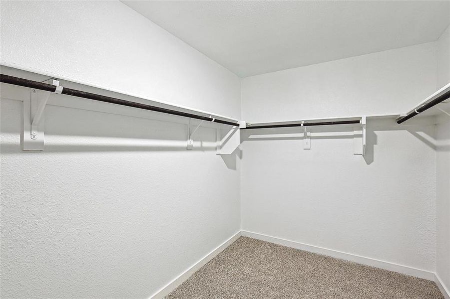 Walk in closet with carpet flooring