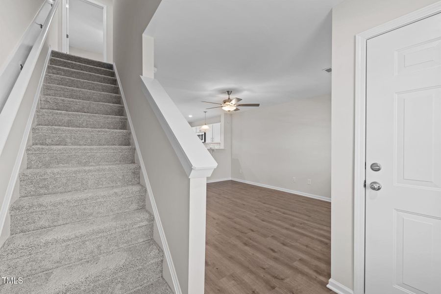 7-web-or-mls-5Z8A1354