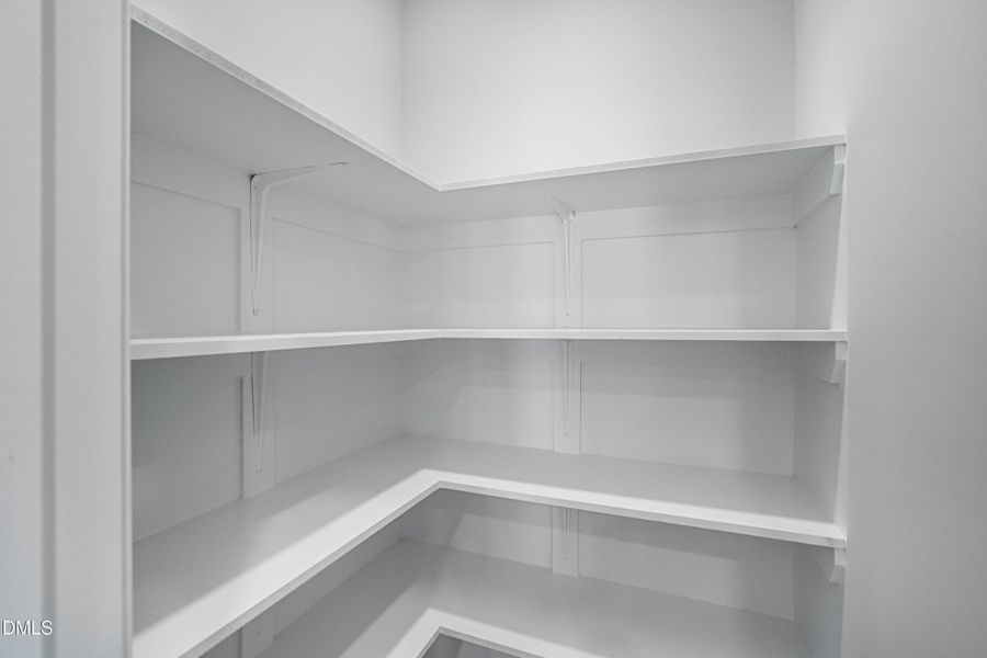 SUN_Everlee_Pic_LandrumIII-35