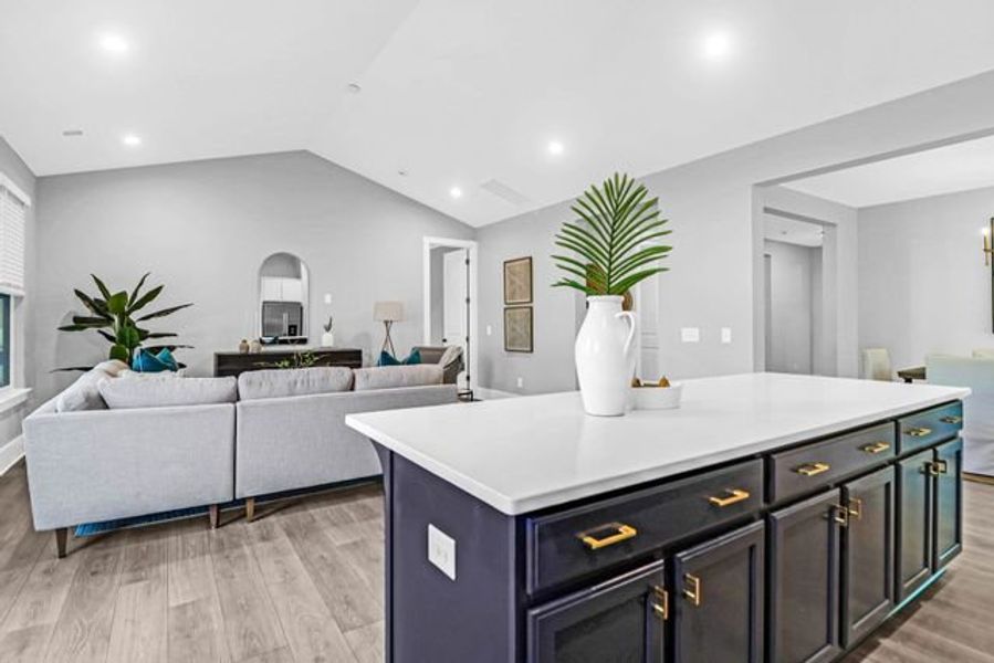 Representative furnished interior of a home built from the Milo P by True Homes in Homecoming, Ravenel (Image 5).
