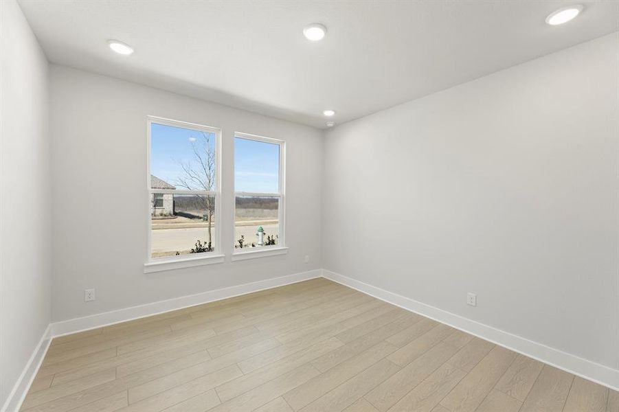 07. 500 Blue Yucca - Study