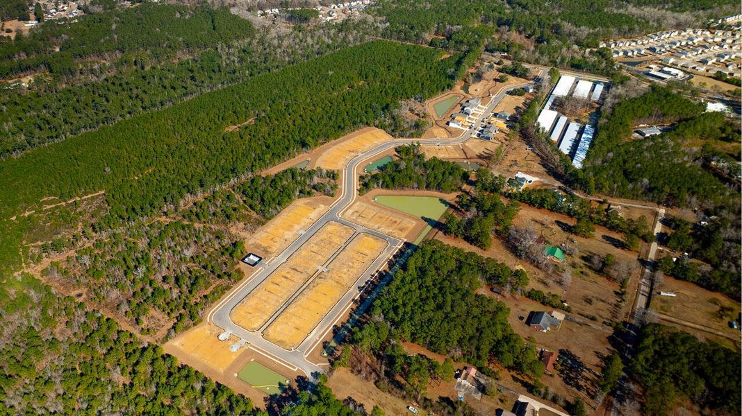 Site preparation for new homesites in The Cove at Mallard Crossing, Summerville (Image 31).