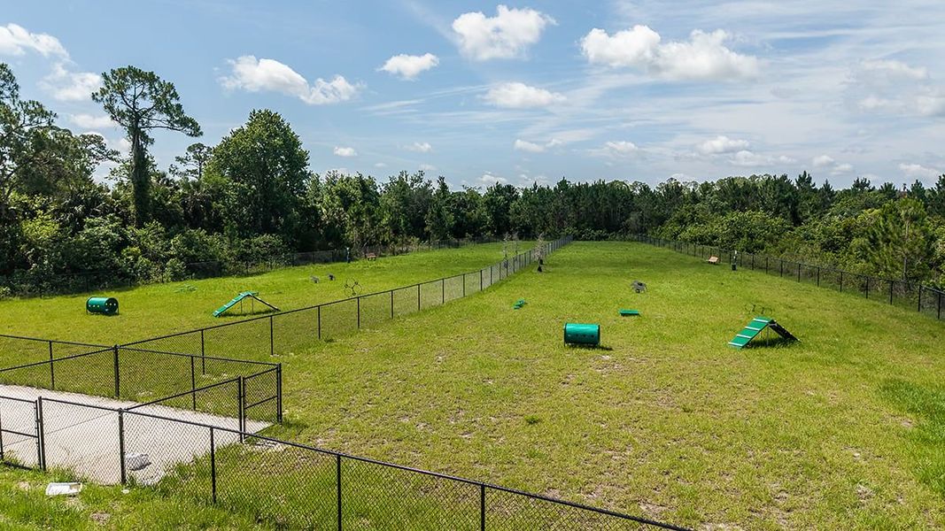 Community amenities in Ardisia Park, New Smyrna Beach (Image 16).