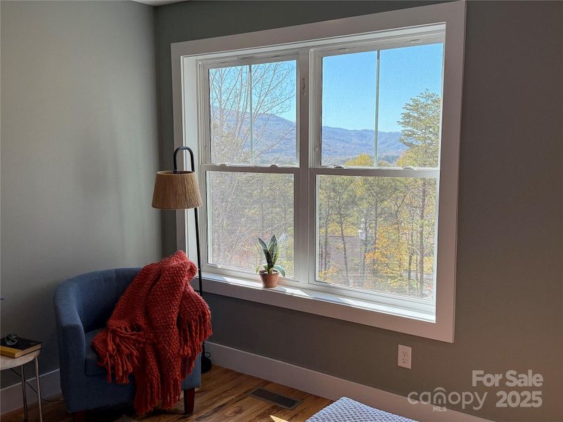 Views from the Primary Bedroom