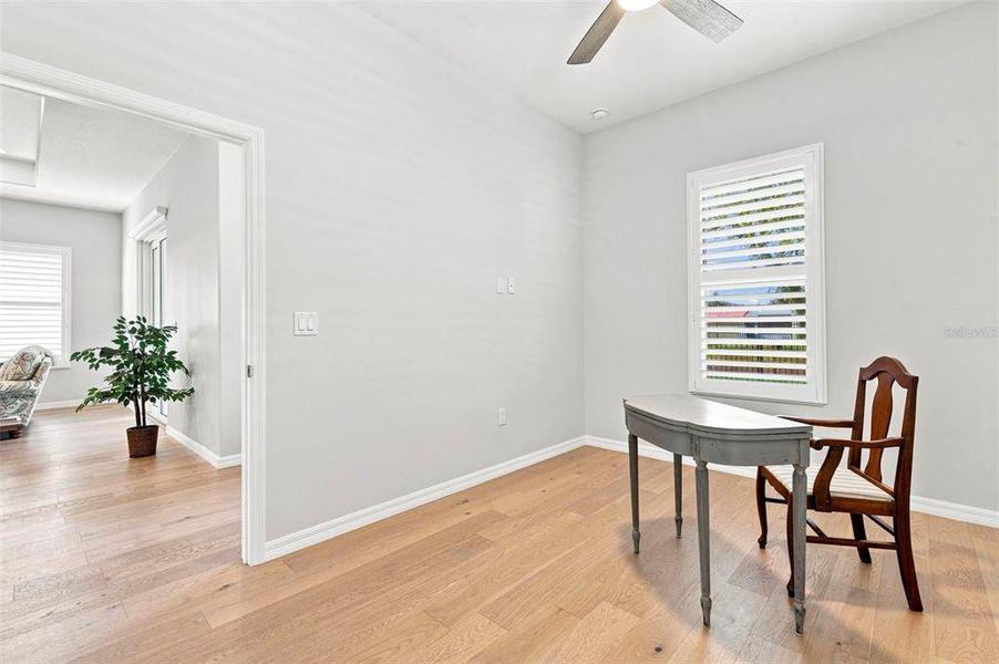 Furnished interior view inside a new home in , Dunedin (Image 33).