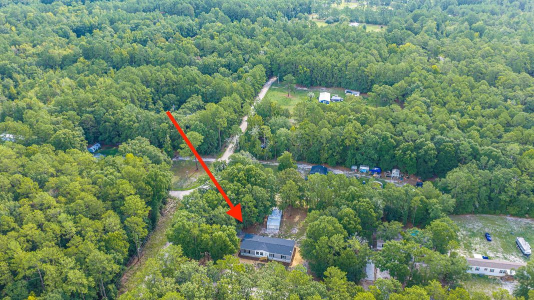 Natural landscape and outdoor views near  in Walterboro (Image 63).