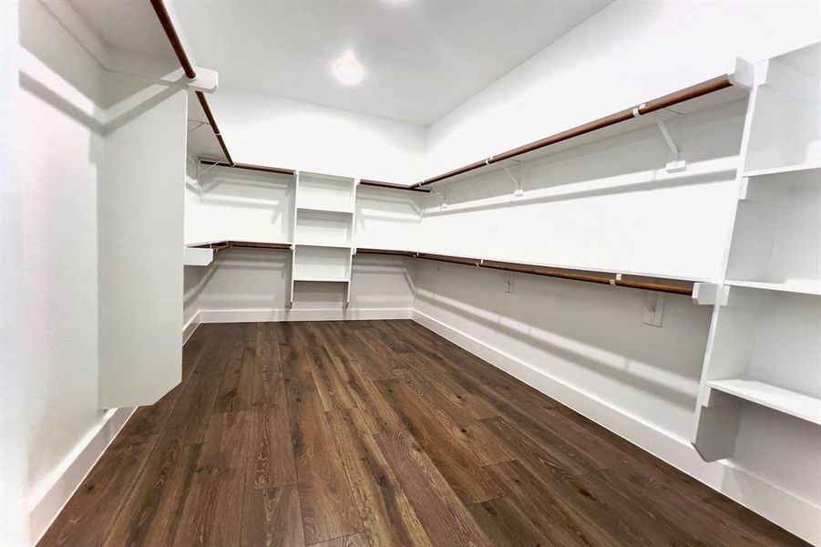 Walk in closet with dark wood finished floors