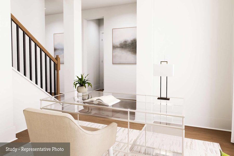 The Snapdragon - Study The Snapdragon - Study