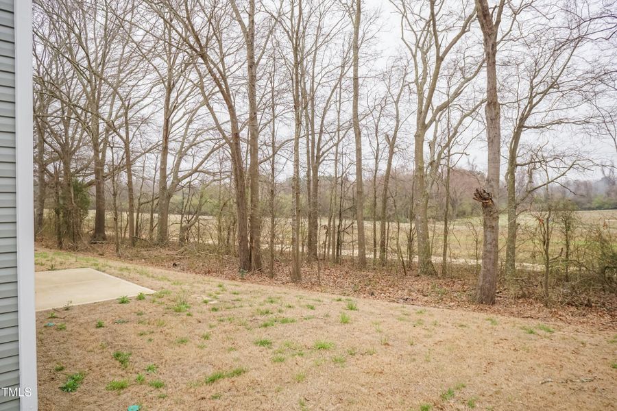 Rendition photo of representation