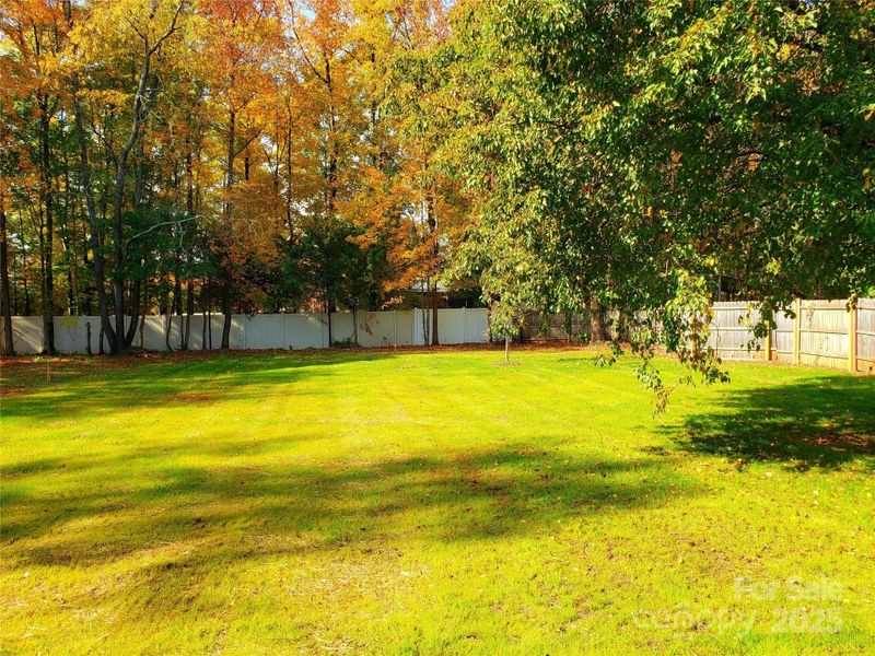 Natural landscape and outdoor views near in Charlotte (Image 31). Natural landscape and outdoor views near in Charlotte (Image 31).