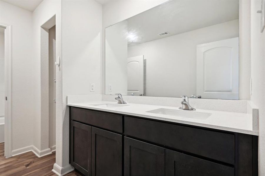 Bathroom with wood-type flooring and vanity