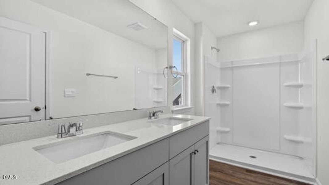 Belle Grove_Darwin A3_83_Gray_SPEC-015