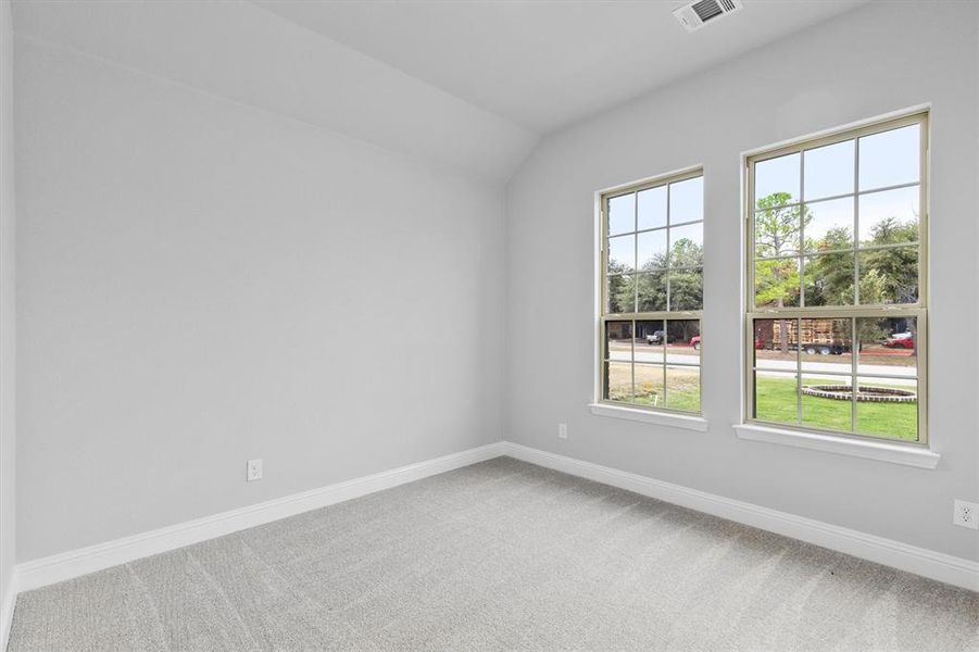 Unfurnished room featuring lofted ceiling and carpet floors