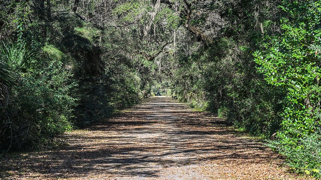 Natural landscape and outdoor views near Colbert Landings in Palm Coast (Image 94).