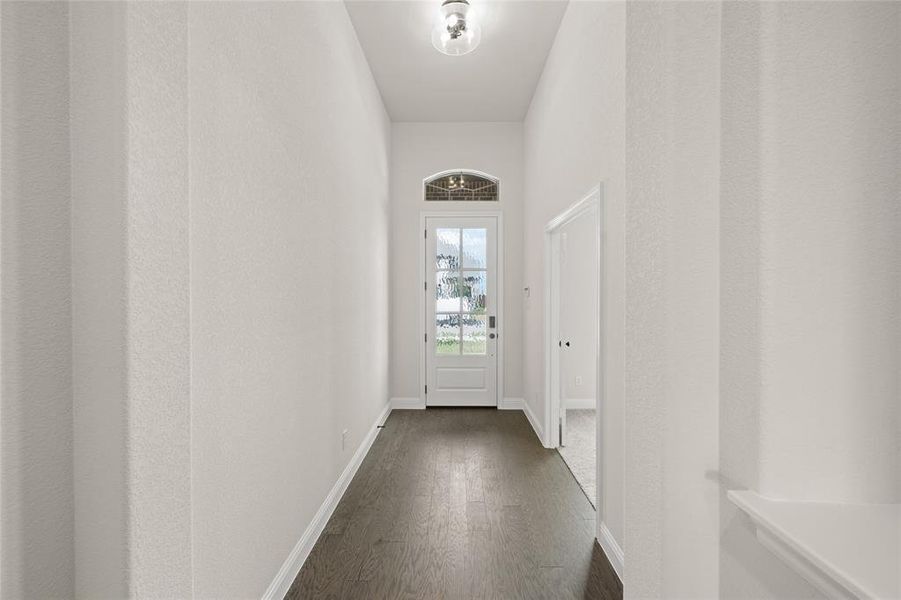 117 Grey Wolf- Entry-1