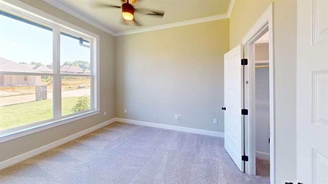 Empty room featuring light carpet, ornamental molding, baseboards, and a ceiling fan