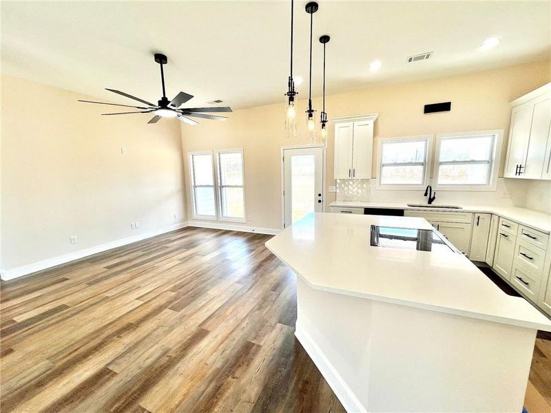 Spacious, unfurnished interior of a new home in , Griffin (Image 22).