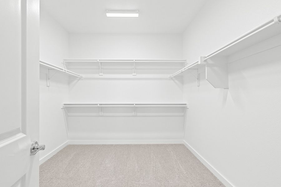 Spacious, unfurnished interior of a new home in Wildridge, Oak Point (Image 36).