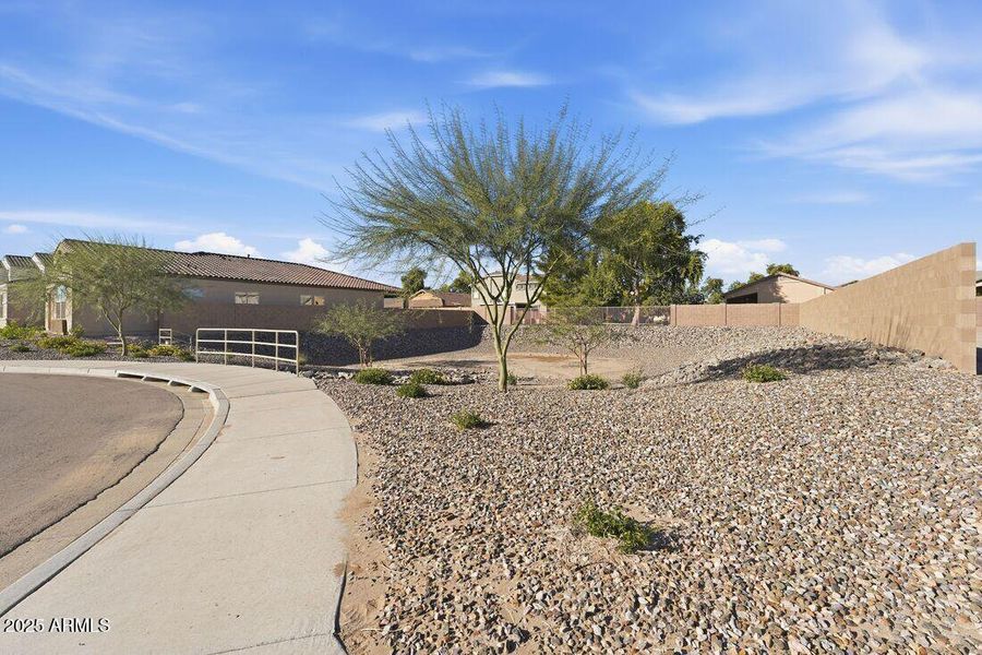 Community Photo Community Photo