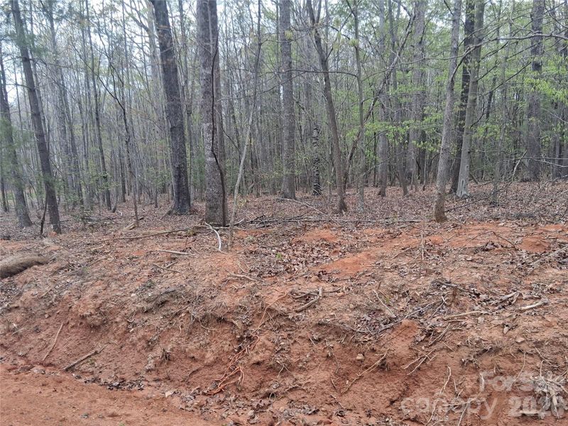 Site preparation for new homesites in , Morganton (Image 6).