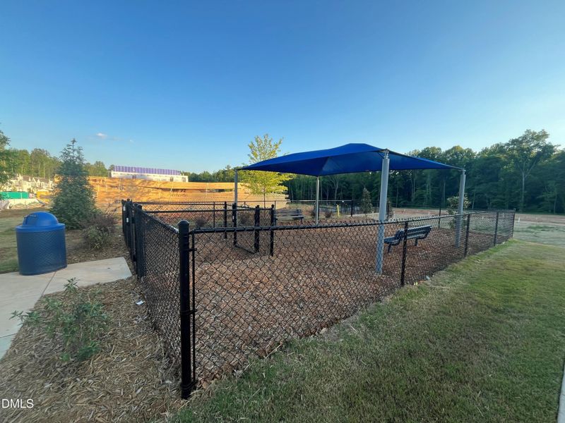 Dog Park Dog Park