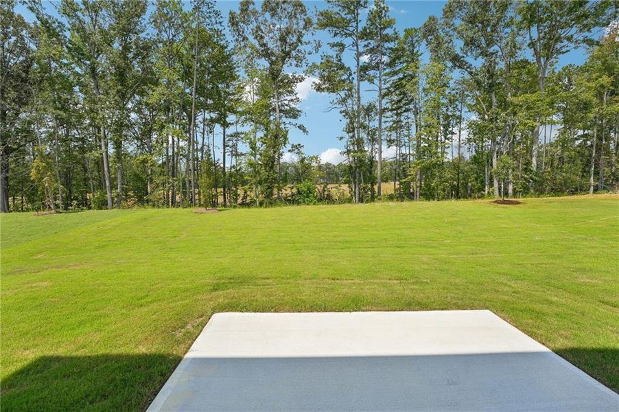 Natural landscape and outdoor views near Northwoods at Mirror Lake in Villa Rica (Image 52).