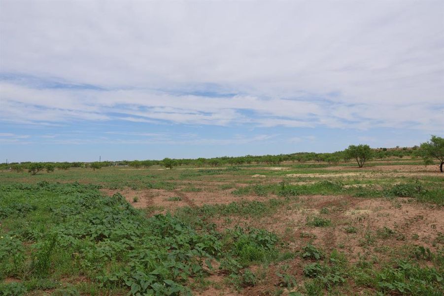Natural landscape and outdoor views near  in Merkel (Image 13).