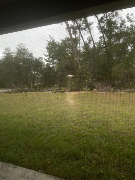 Natural landscape and outdoor views near  in Ocala (Image 12).