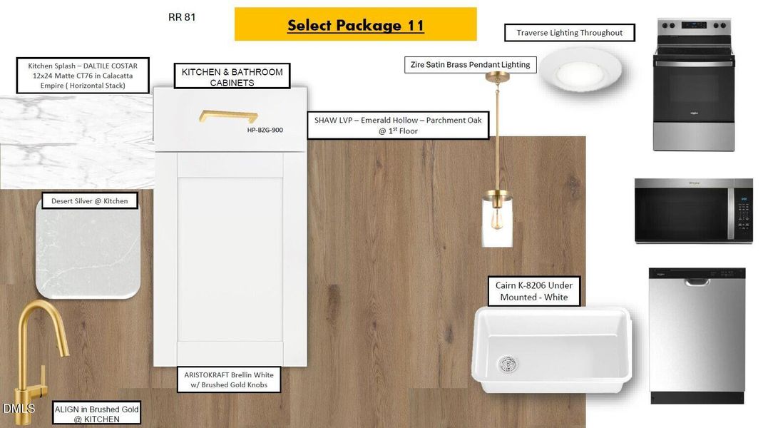 RR 81 - DP1 RR 81 - DP1