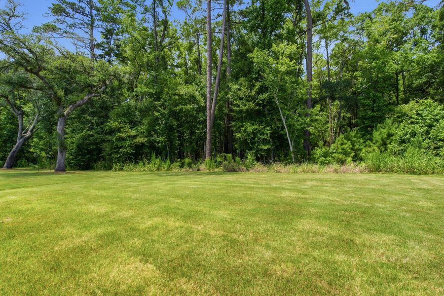 Natural landscape and outdoor views near Horizons at Summers Corner | 55+ in Summerville (Image 49).