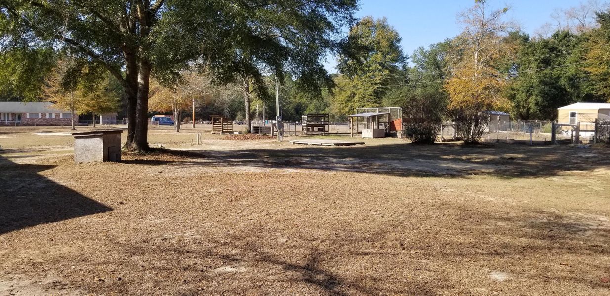 Natural landscape and outdoor views near  in Varnville (Image 26).