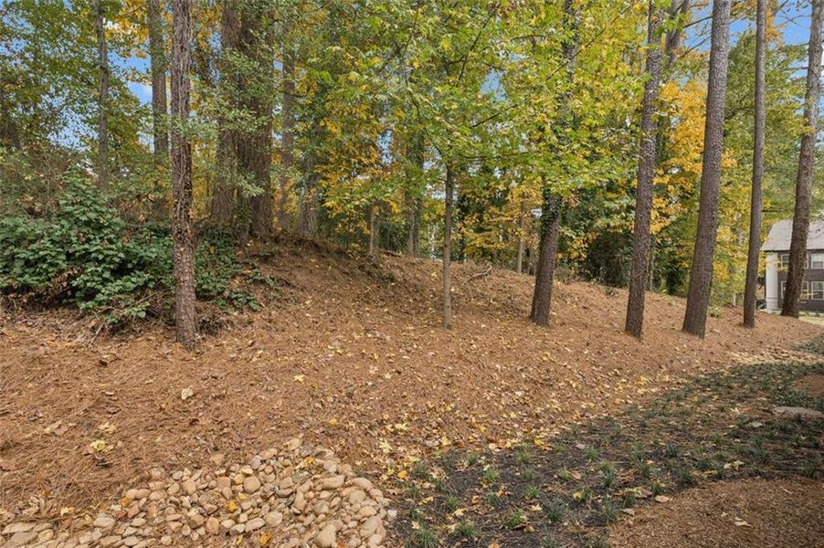 Natural landscape and outdoor views near Parkside at Mason Mill in Decatur (Image 51).