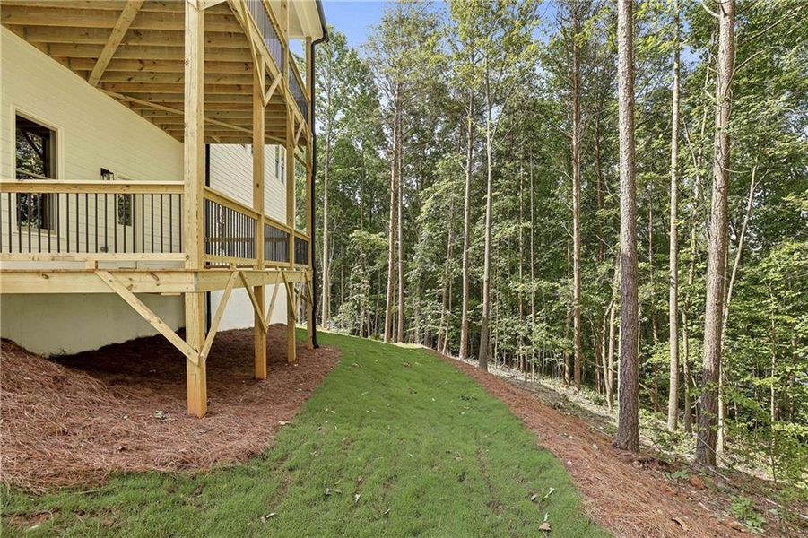 Exterior details and patio area of a home in , Dawsonville (Image 28).
