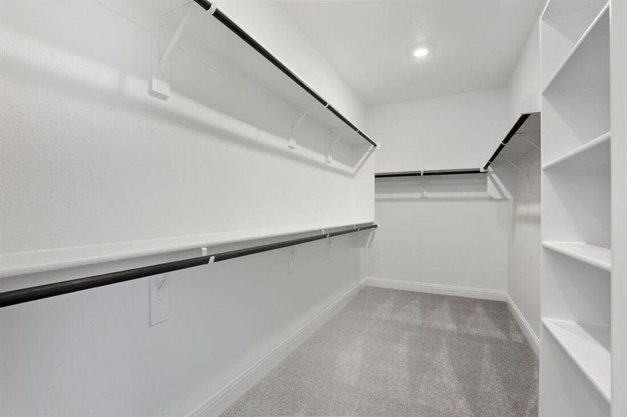 709 Cottontail ~ Ready Now 709 Cottontail ~ Ready Now