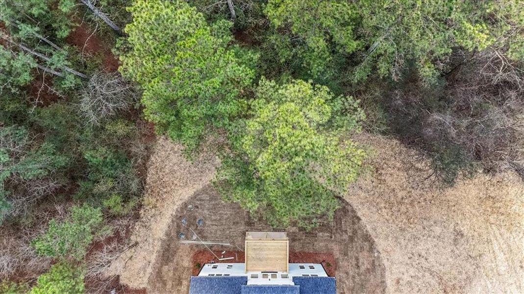 Natural landscape and outdoor views near  in Rome (Image 50).