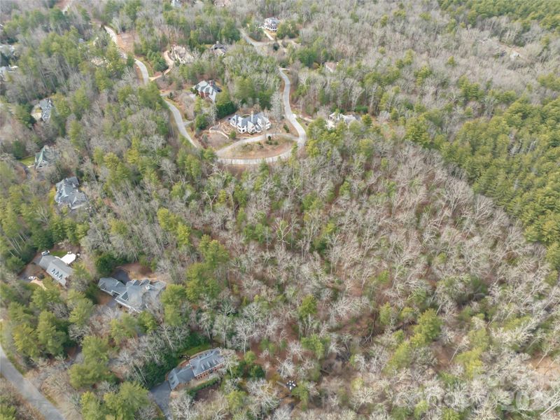Natural landscape and outdoor views near  in Asheville (Image 13).